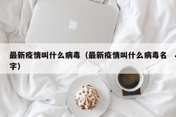 土耳其移民条件移民好不好